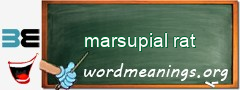 WordMeaning blackboard for marsupial rat